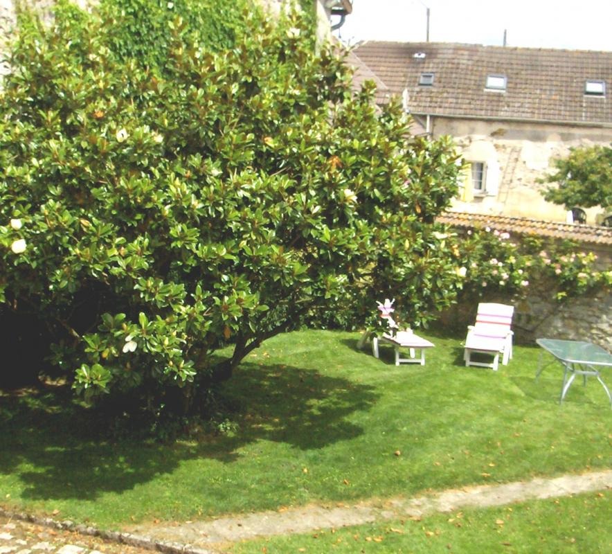 petit jardin de la maison