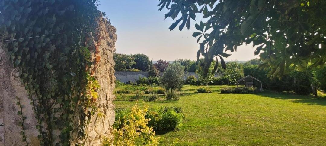 vue sur le jardin potager