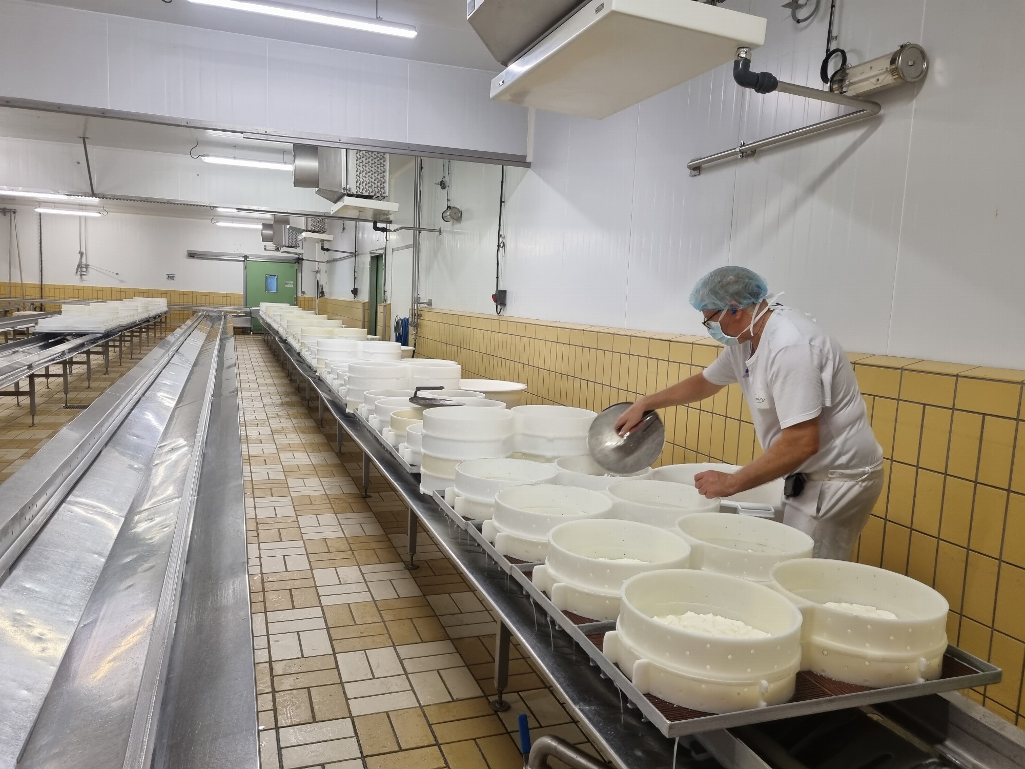 Moulage du Brie de Meaux à la Fromagerie Saint-Faron Meaux