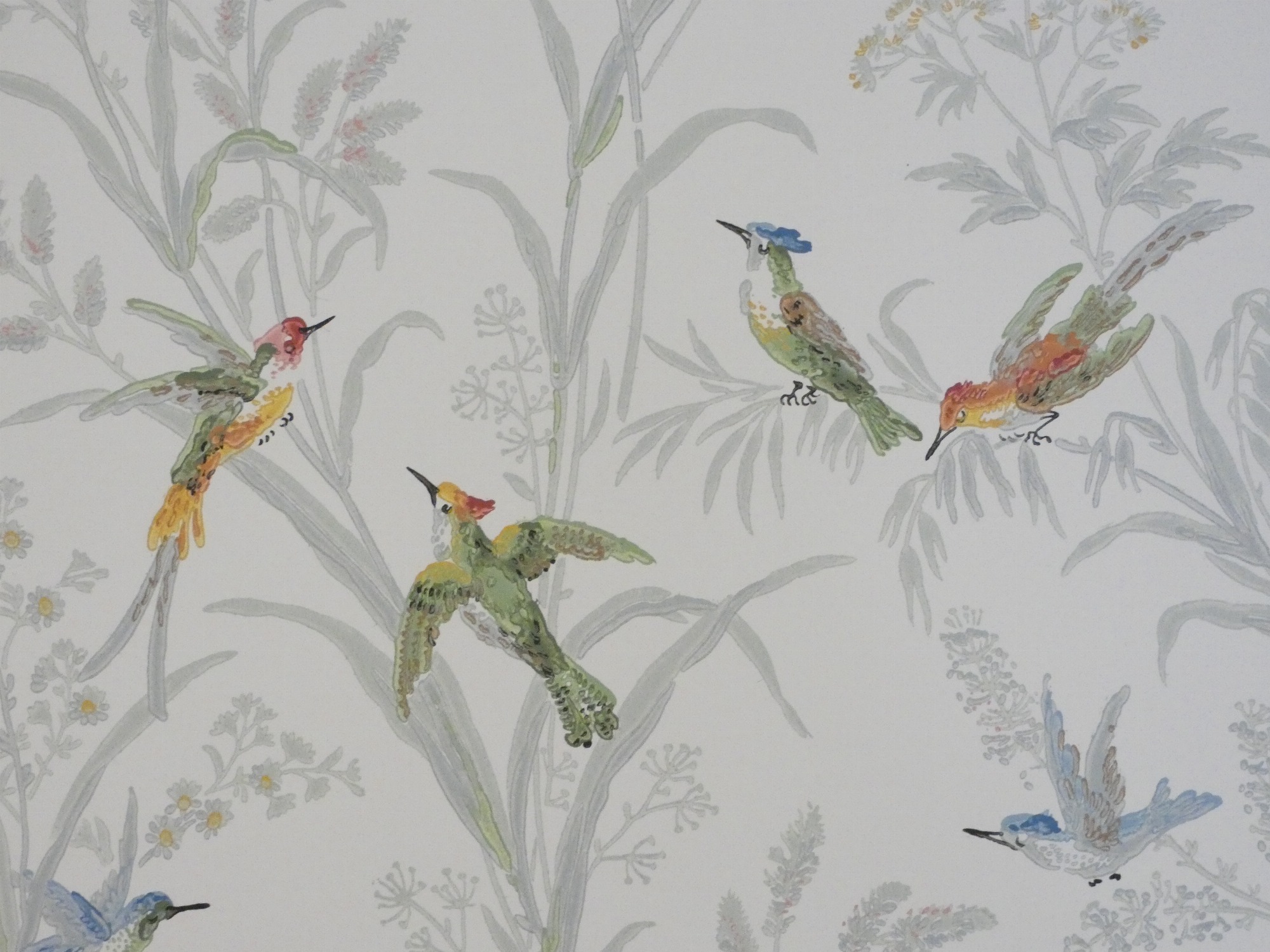 Les oiseaux mouches...