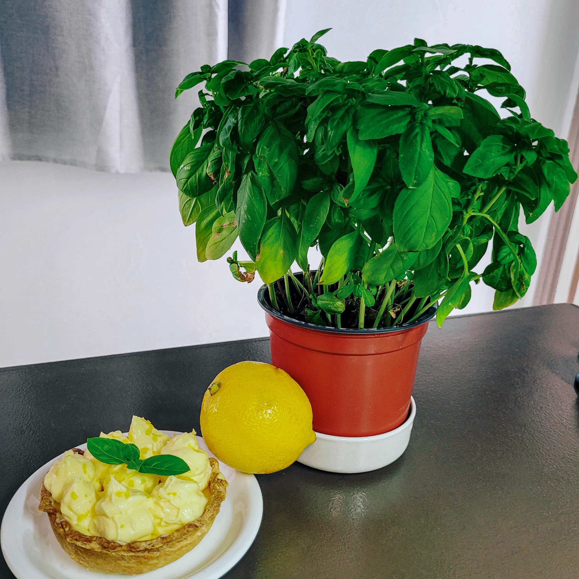 Tarte citron