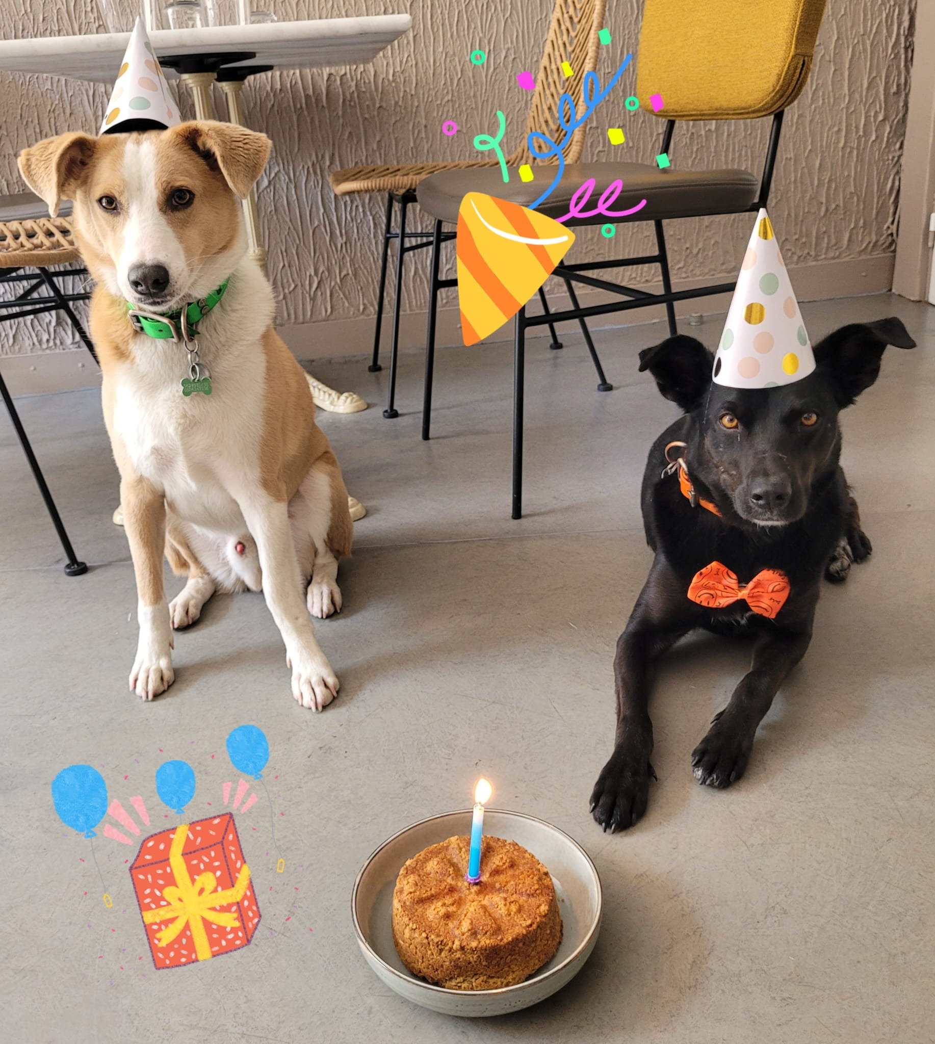 Anniversaire